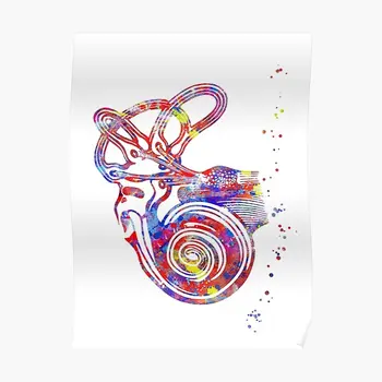 Анатомия на ухото Плакат с гистологией охлюви Вътрешното ухо Съвременно забавно художественото оформление на стаите в Стенни рисувани къщи Стенни картина Живопис Декор Без рамка