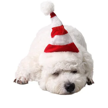 Коледни аксесоари, Коледна шапка Очарователен Декоративна и за малко коте, кученце Коледни аксесоари