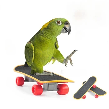 Играчки за птици Забавен мини скейтборд, играчка за папагал, модул за обучение скейтборд, папагали, Играчка за растеж попугайчиков, аксесоари за птици Pajaros Intelligence
