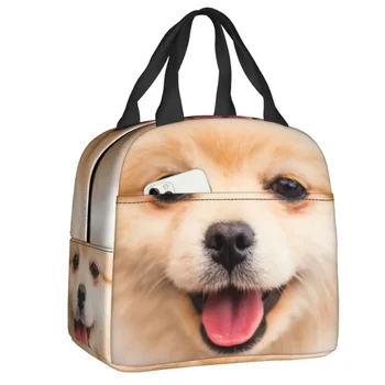 Красиво златно померанская куче, изолирано чанта за обяд, за къмпинг, за пътуване, подаръци за любителите на кученца, охладител, термос за обяд и за жени и деца