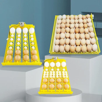 Инкубатор за 24 яйца За инкубация на яйцата Обзавеждане за инкубация на домашни птици с автоматично переворачиванием яйца За кокоши, пъдпъдъчи, патица, миролюбивия яйца
