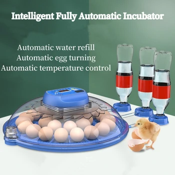 Инкубатор за 8 яйца Напълно автоматичен ротационен Инкубационният една квачка за патици, пъдпъдъци и птици Електрическа птици
